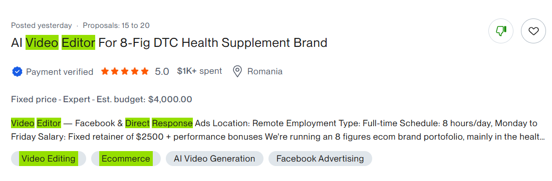 Originalni screenshot objavljene Upwork ponude za posao — primer 3 od 10